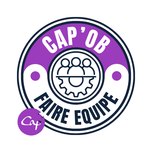 open badge faire equipe cap comptences durables